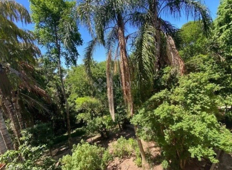 Chácara, 3 quartos, 1 hectares - Foto 11