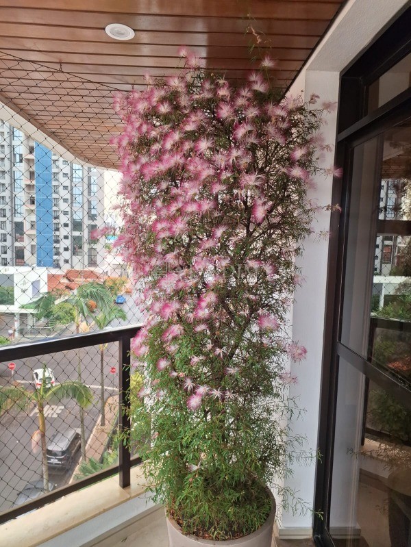 Apartamento, 4 quartos, 250 m² - Foto 31