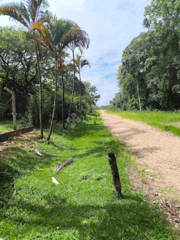 Sítio, 3 quartos, 5000 m² - Foto 30