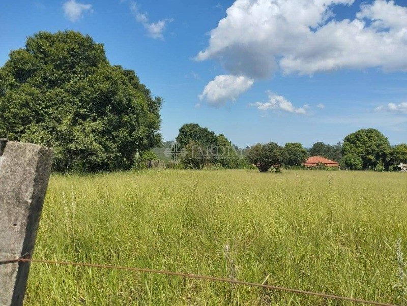 Terreno, 5000 m² - Foto 4