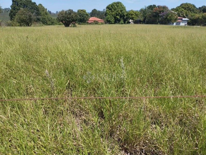 Terreno, 5000 m² - Foto 3