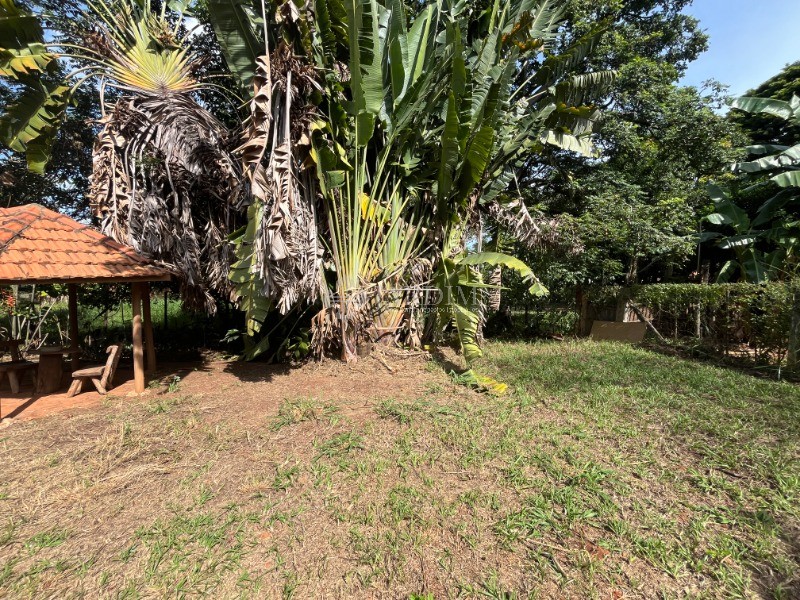 Sítio, 2 quartos, 6500 m² - Foto 15