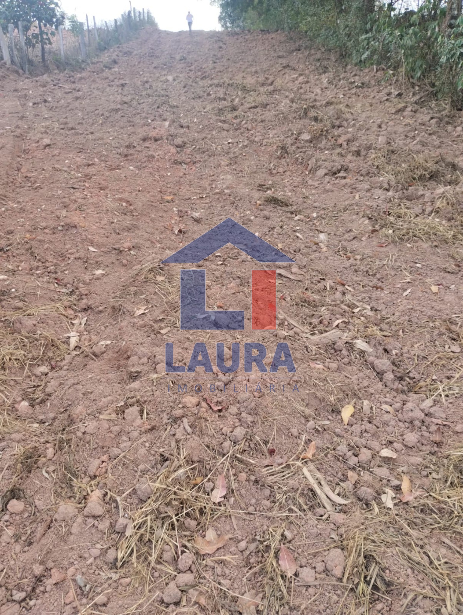 Terreno, 2652 m² - Foto 8