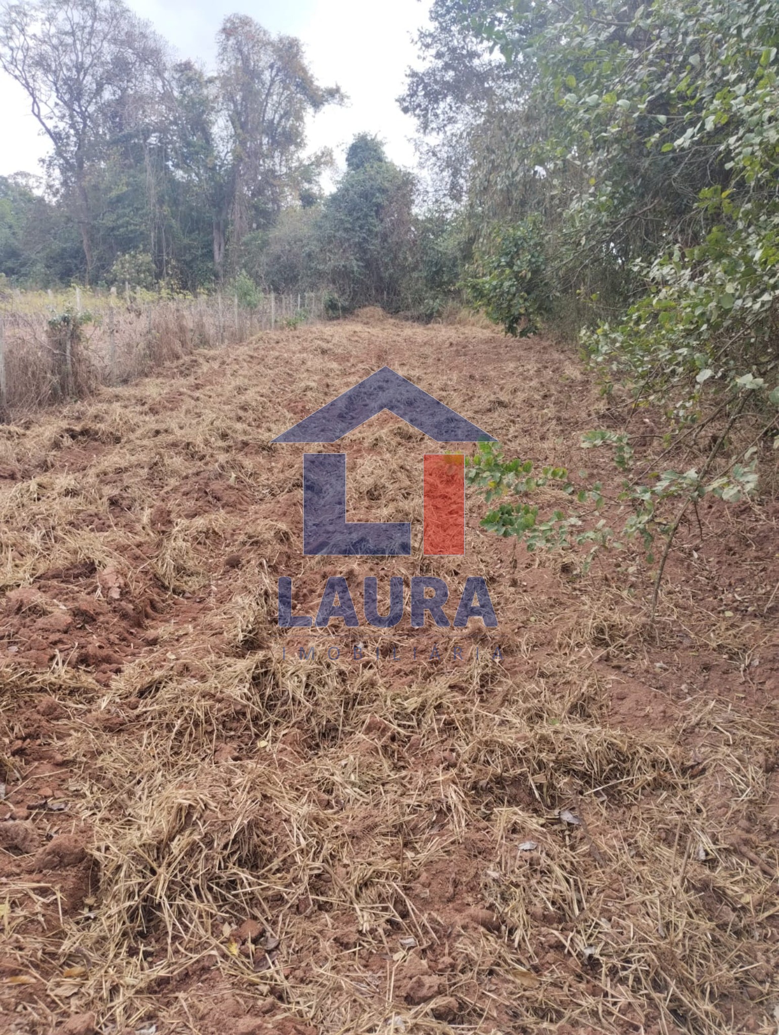 Terreno, 2652 m² - Foto 4
