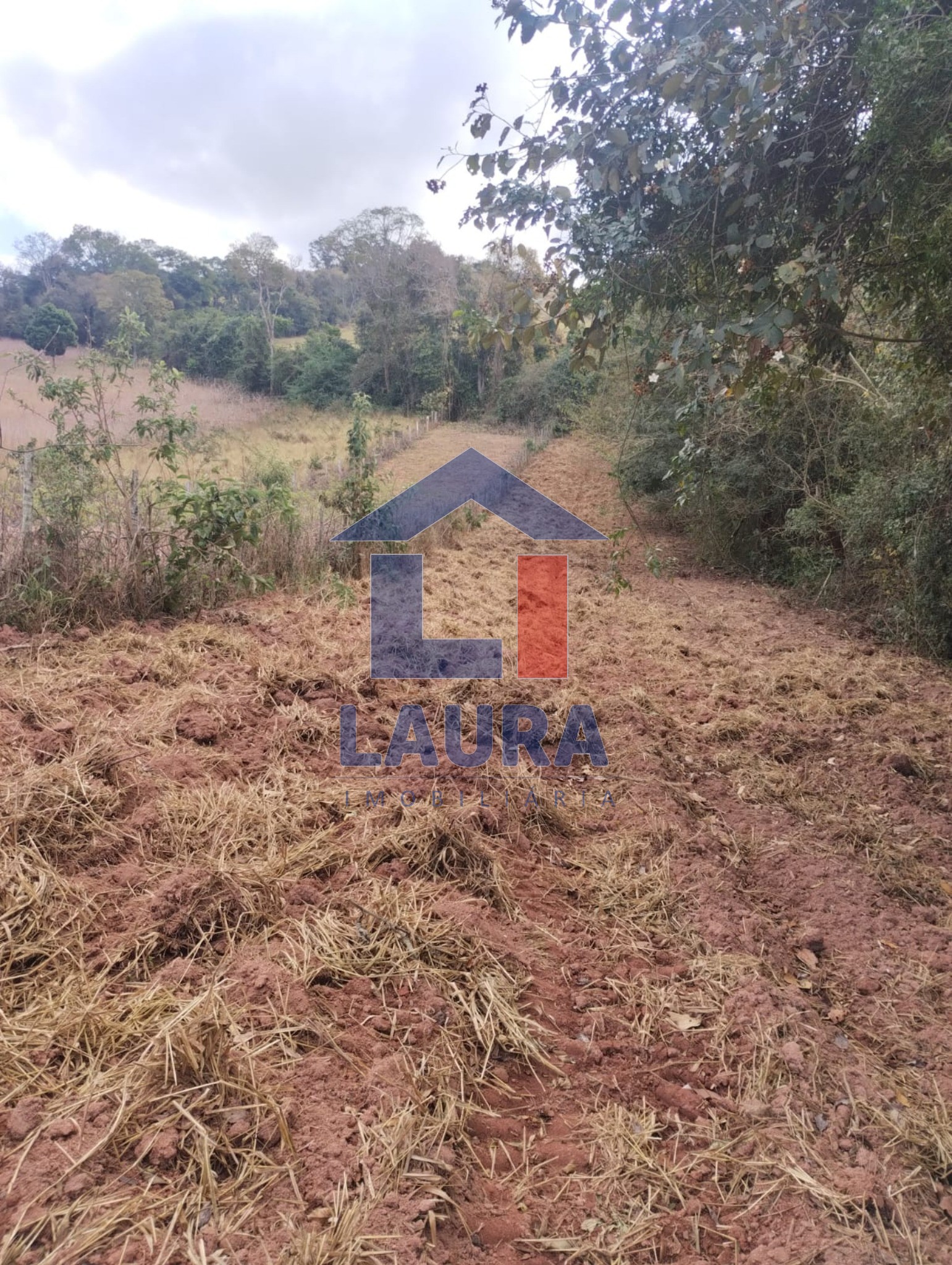 Terreno, 2652 m² - Foto 7