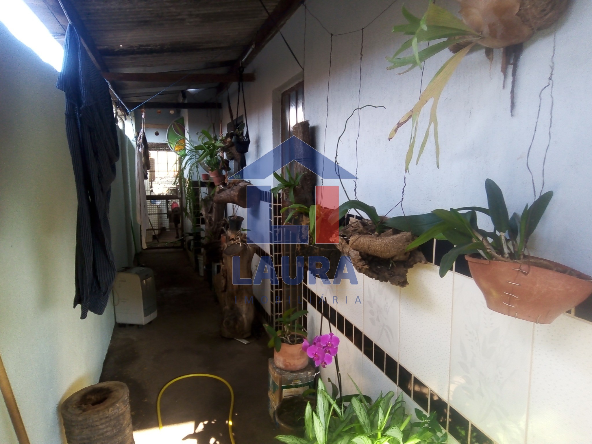 Casa, 4 quartos - Foto 12