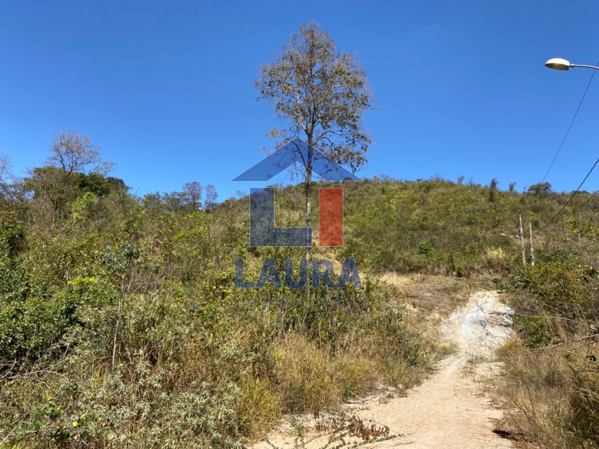 Chácara, 6500 m² - Foto 9