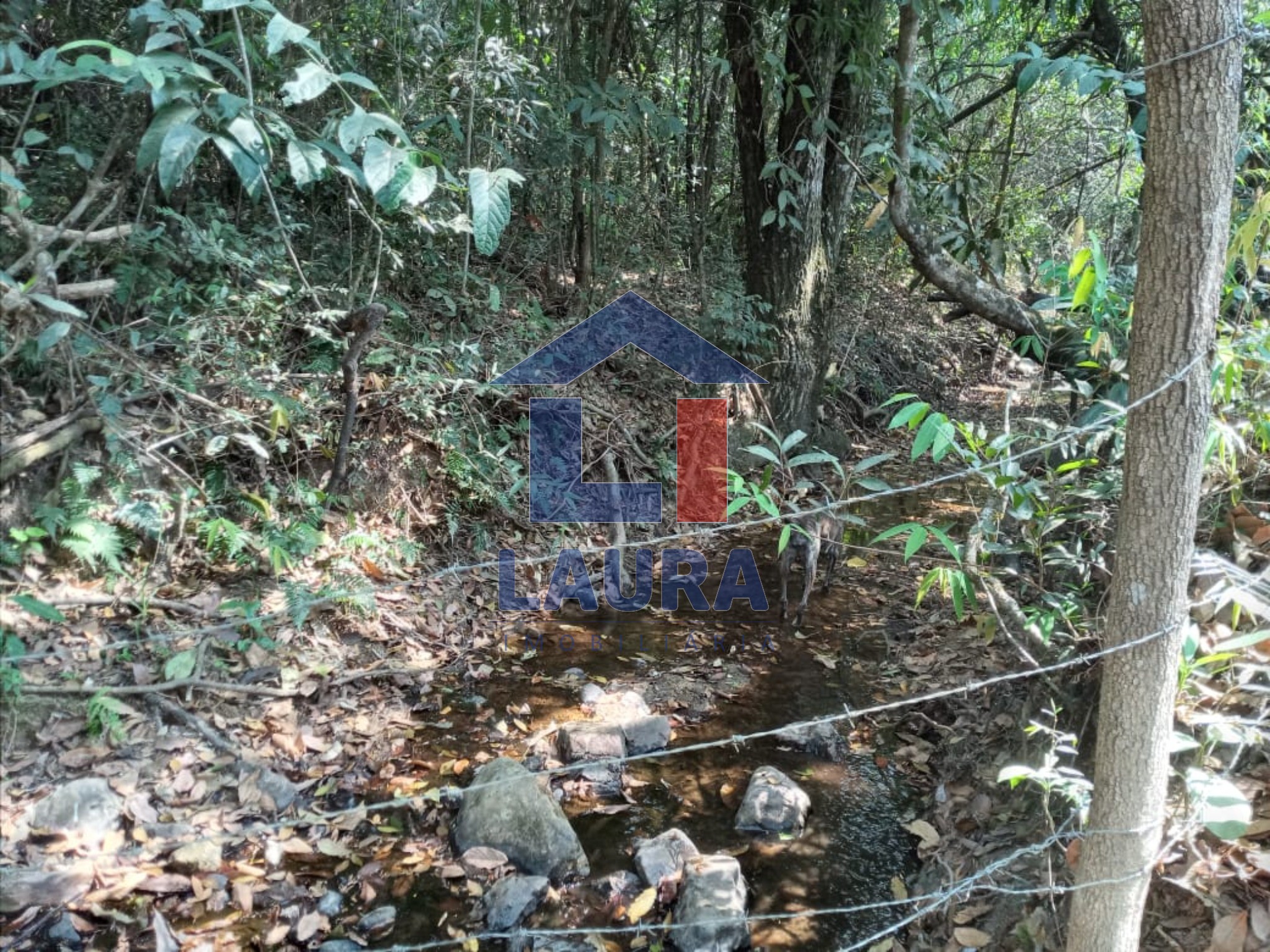 Sítio, 3 quartos, 2 hectares - Foto 11
