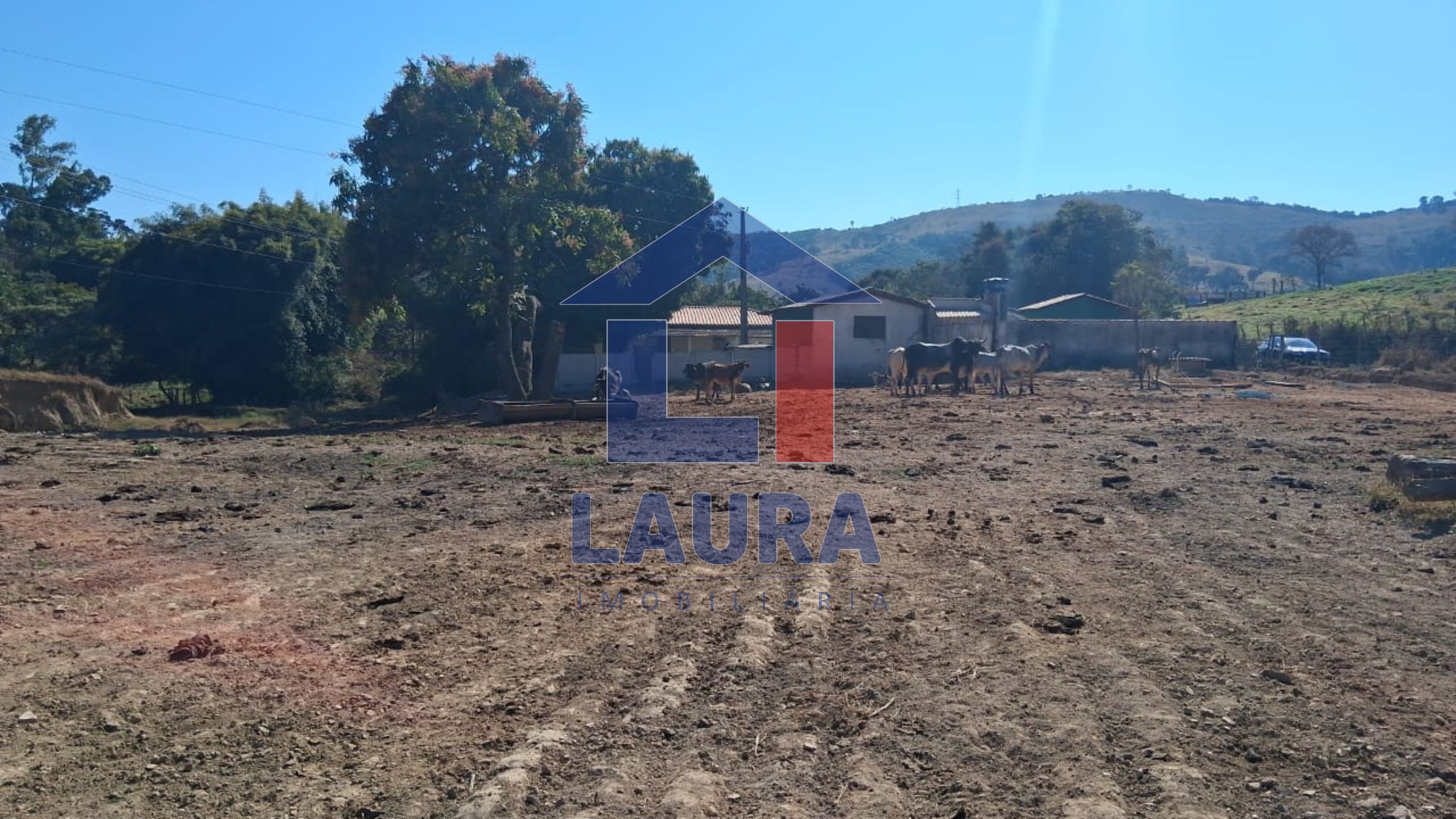Terreno, 7 hectares - Foto 12