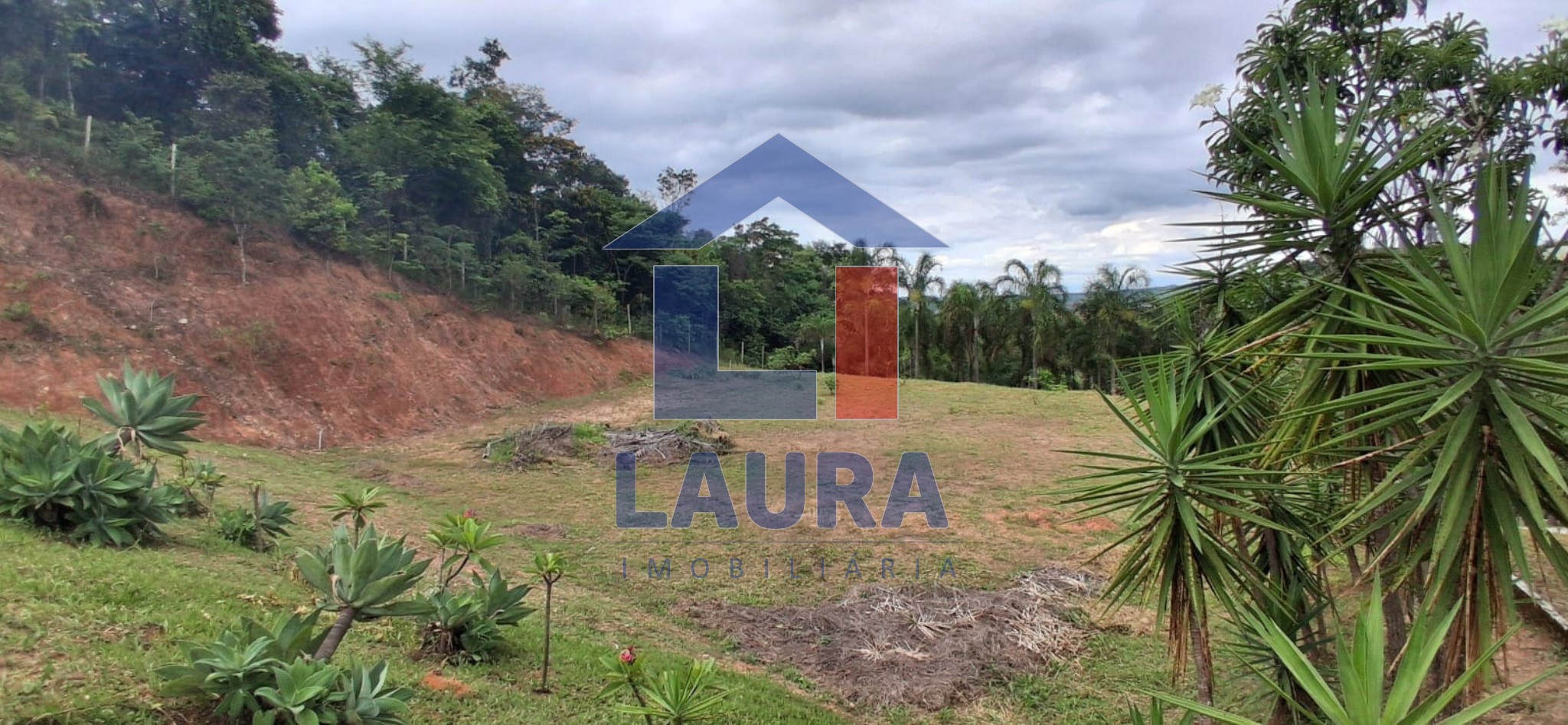 Chácara, 2 quartos, 5371 m² - Foto 5