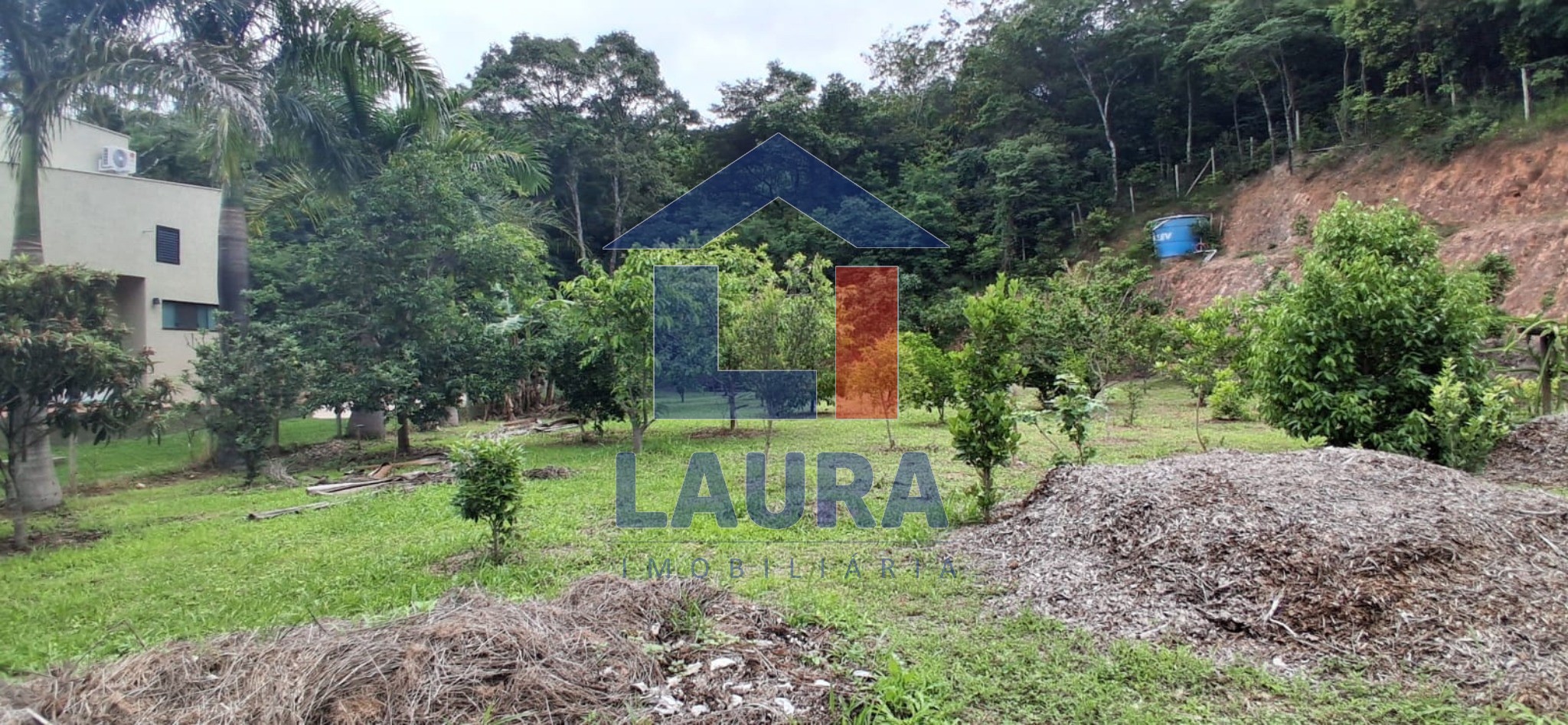 Chácara, 2 quartos, 5371 m² - Foto 4