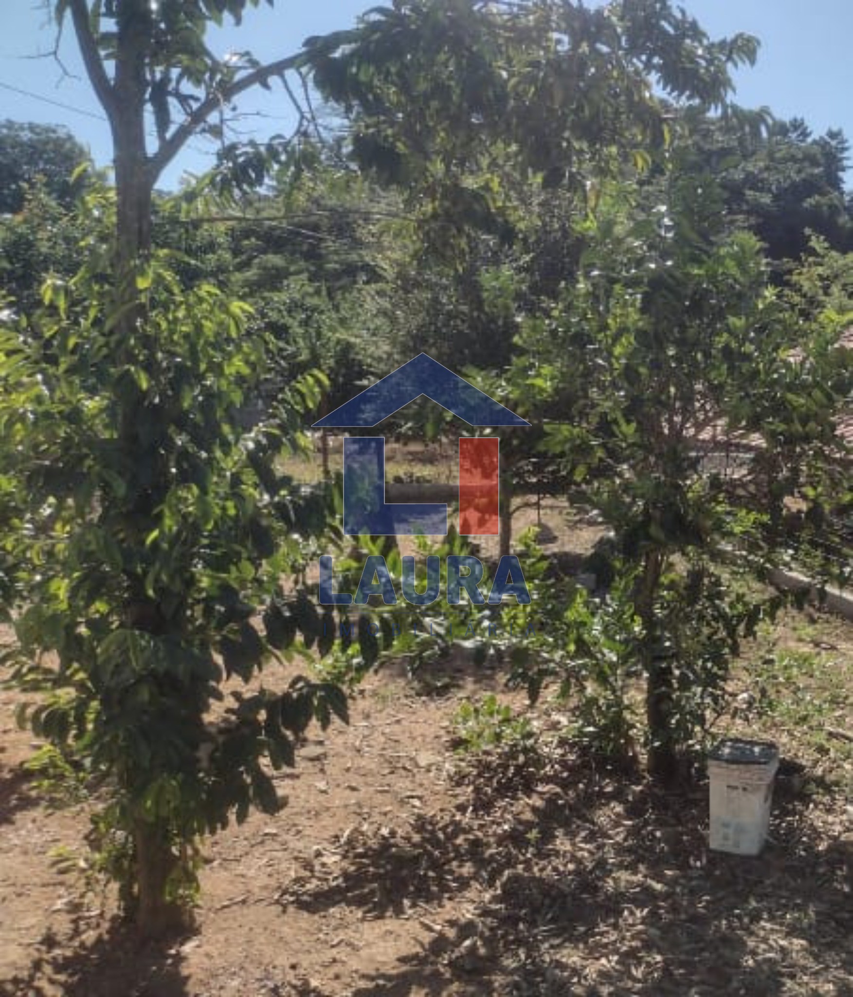 Terreno, 370 m² - Foto 6