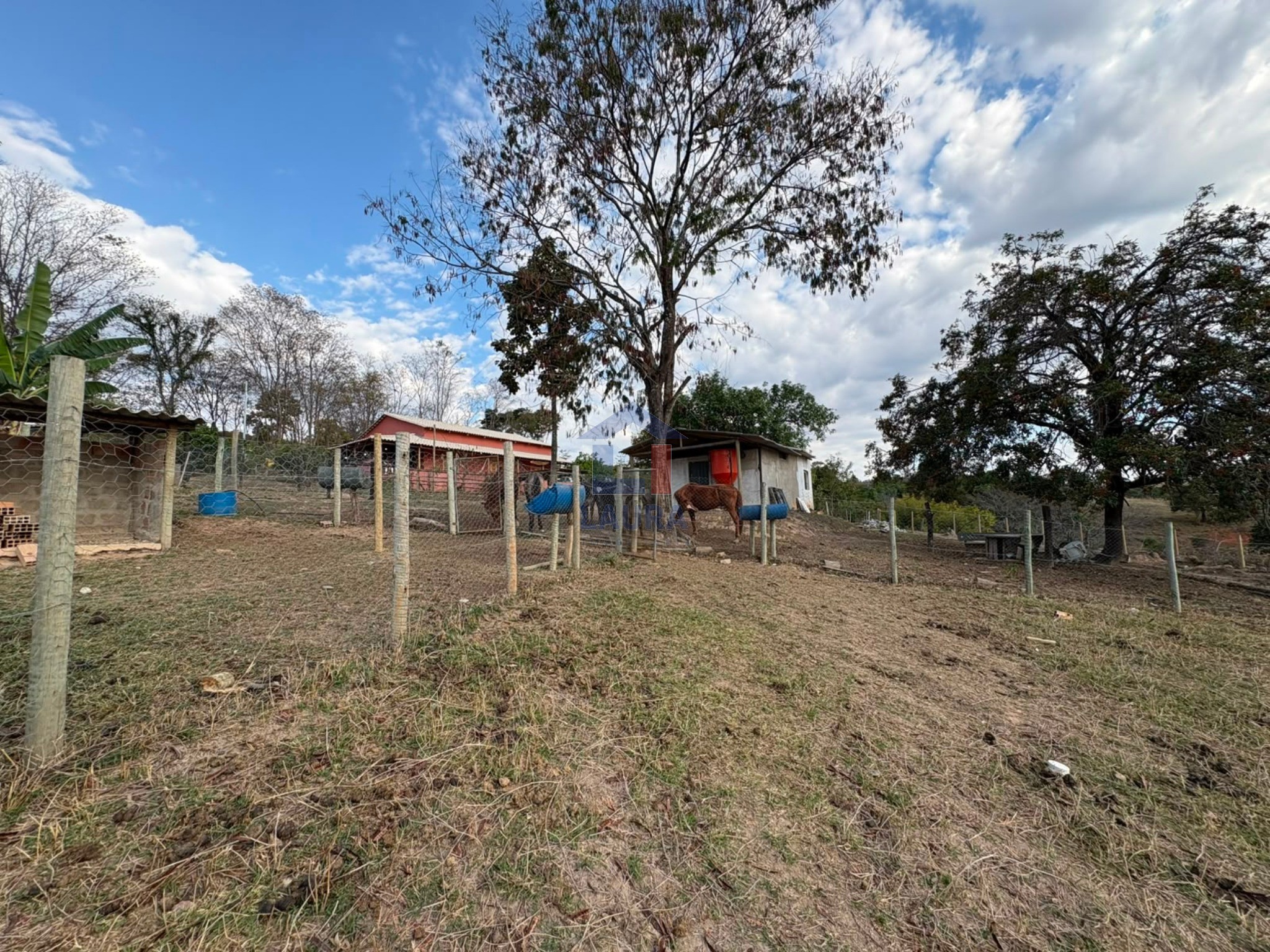 Sítio, 3 quartos, 20000 m² - Foto 3