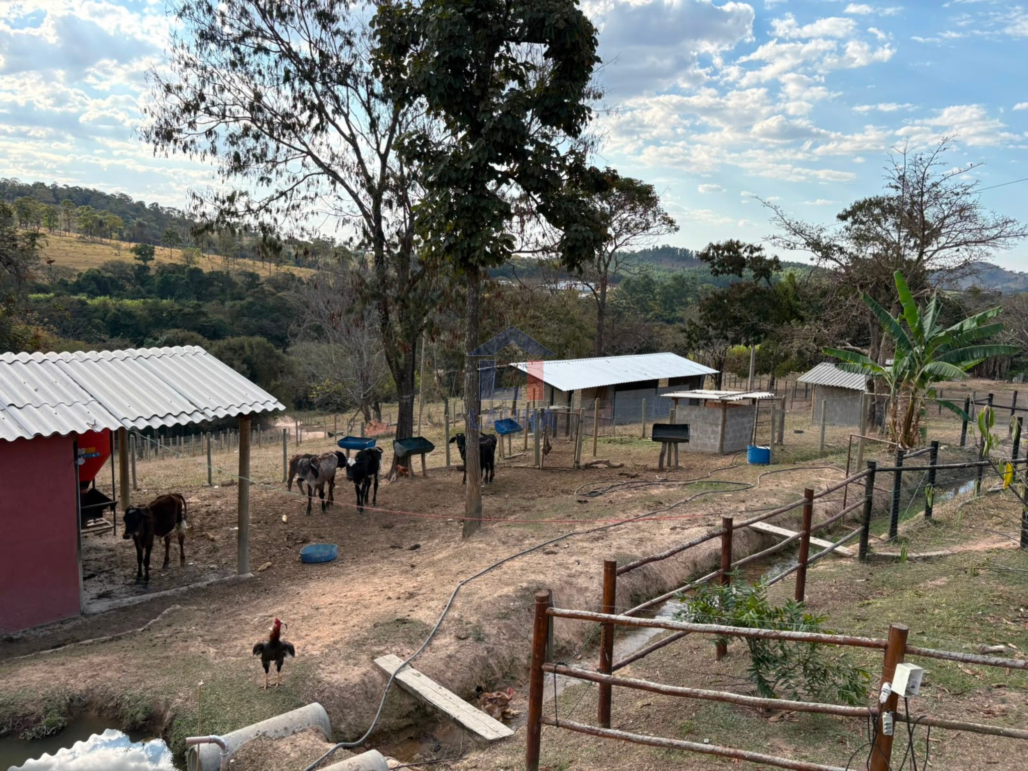 Sítio, 3 quartos, 20000 m² - Foto 6