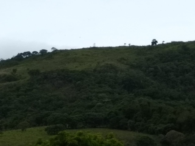 Casa de Condomínio, 2 quartos - Foto 7