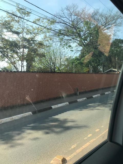 Chácara, 3 quartos, 4000 m² - Foto 2