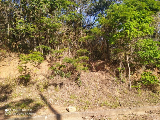 Terreno à venda, 1000m² - Foto 1