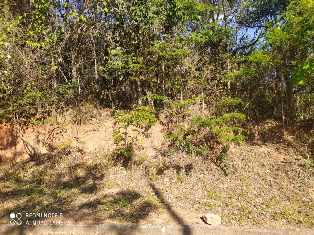 Terreno à venda, 1000m² - Foto 7
