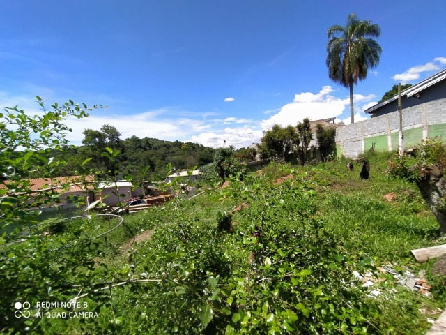 Chácara, 3 quartos - Foto 5