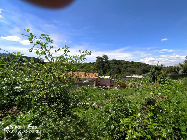 Chácara, 3 quartos - Foto 13