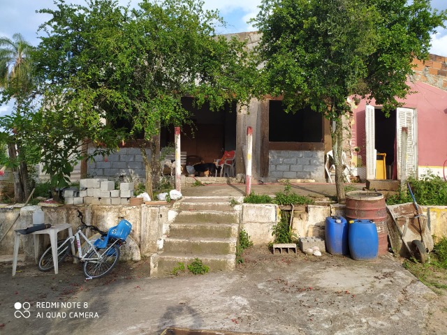 Chácara, 3 quartos - Foto 14