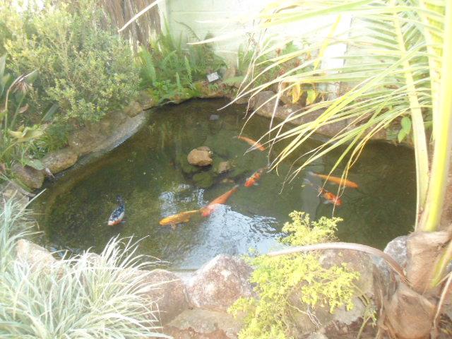 Chácara, 3 quartos, 1080 m² - Foto 19