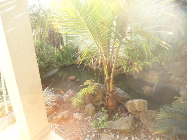 Chácara, 3 quartos, 1080 m² - Foto 20