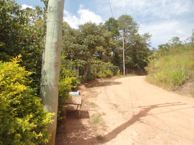 Fazenda, 2 hectares - Foto 2