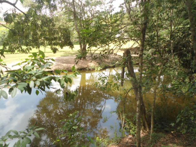 Fazenda, 2 hectares - Foto 12