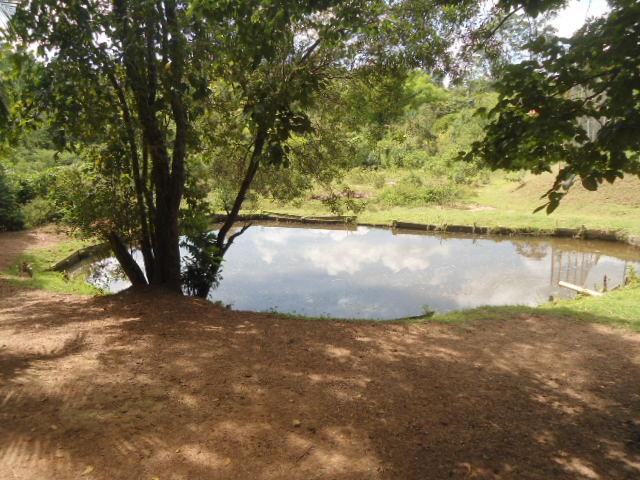 Fazenda, 2 hectares - Foto 13