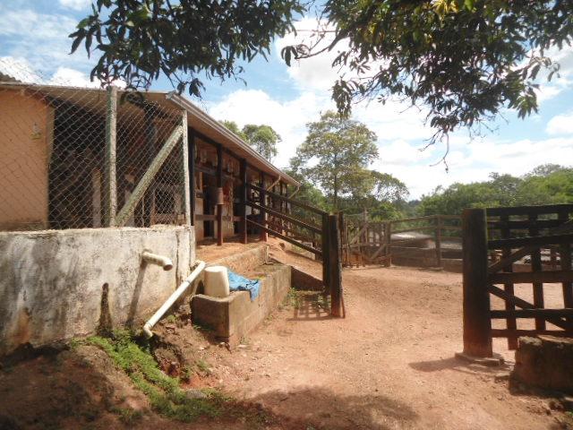 Fazenda, 2 hectares - Foto 14