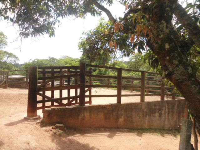 Fazenda, 2 hectares - Foto 15