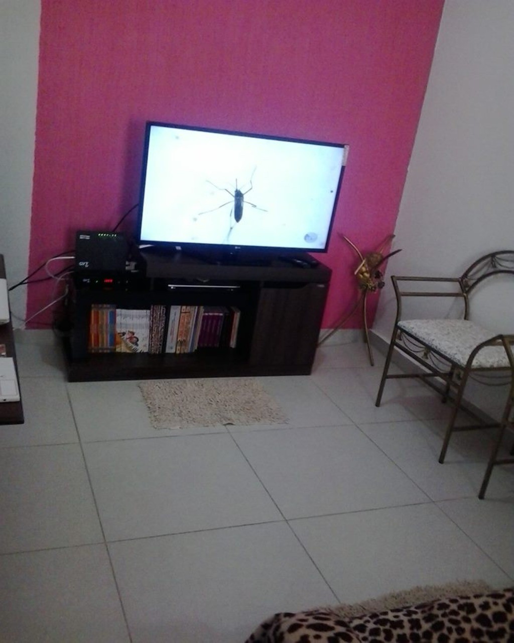 Kitnet-Studio, 50 m² - Foto 4