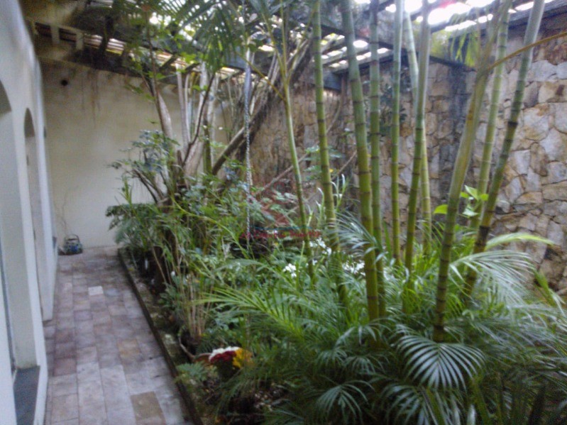 Chácara, 3 quartos, 4770 m² - Foto 5