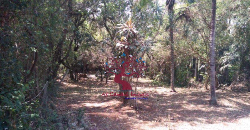 Chácara à venda com 4 quartos, 1425m² - Foto 5