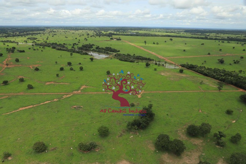 Fazenda à venda com 8 quartos, 21199200m² - Foto 9