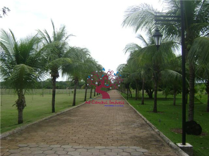 Fazenda à venda com 8 quartos, 21199200m² - Foto 6