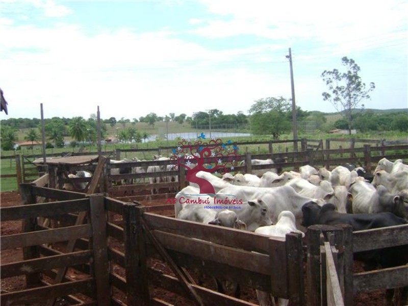 Fazenda à venda com 8 quartos, 21199200m² - Foto 2