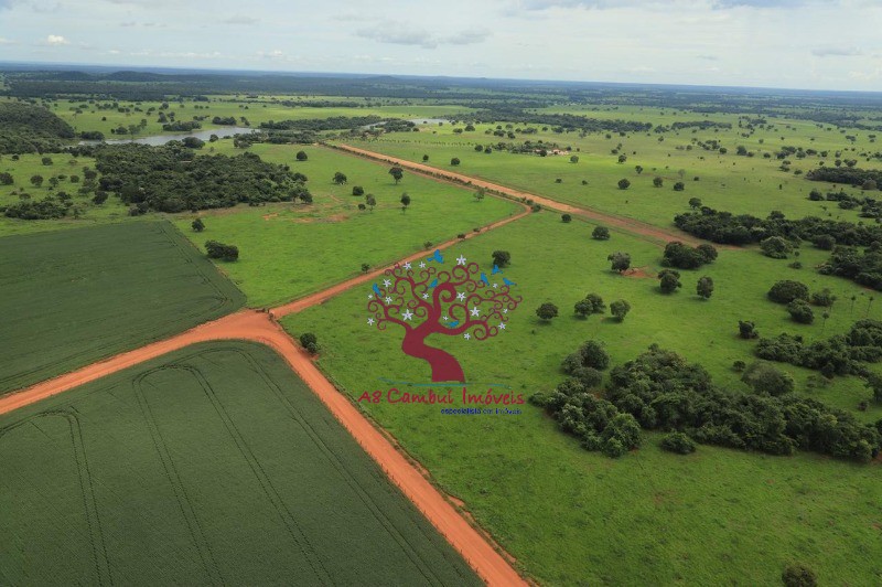 Fazenda à venda com 8 quartos, 21199200m² - Foto 8