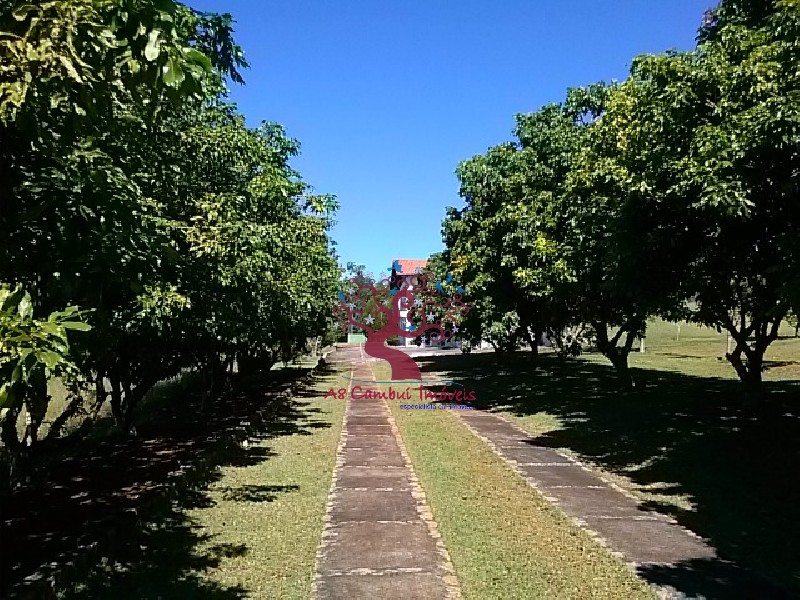 Chácara à venda com 3 quartos, 24323m² - Foto 11