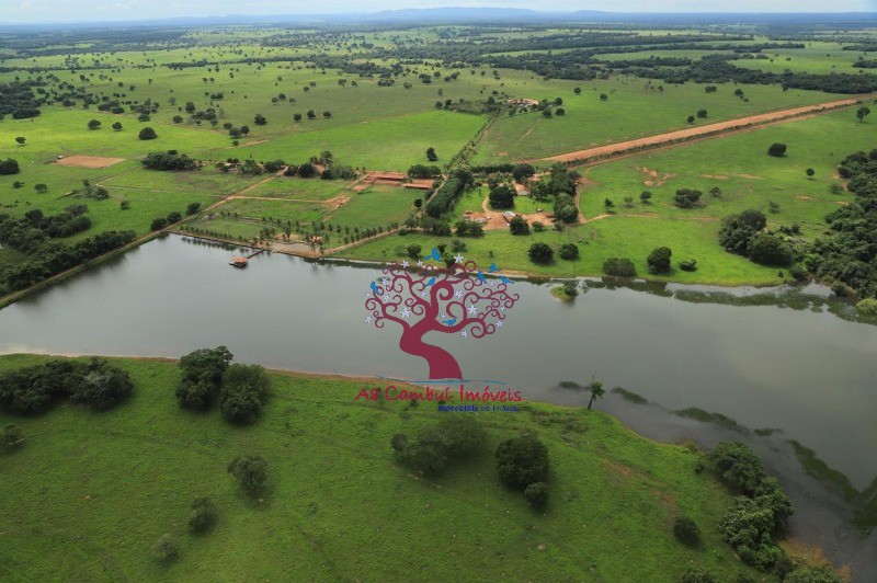 Fazenda à venda com 8 quartos, 21199200m² - Foto 5