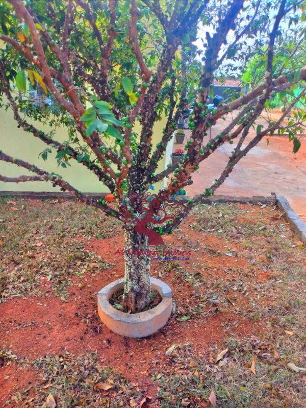 Chácara, 4 quartos, 1000 m² - Foto 17