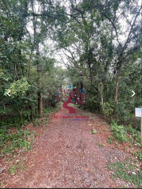 Chácara, 4 quartos, 1000 m² - Foto 14