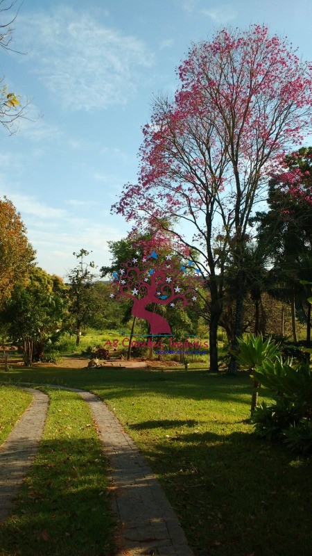 Fazenda-Sítio-Chácara, 2 hectares - Foto 14