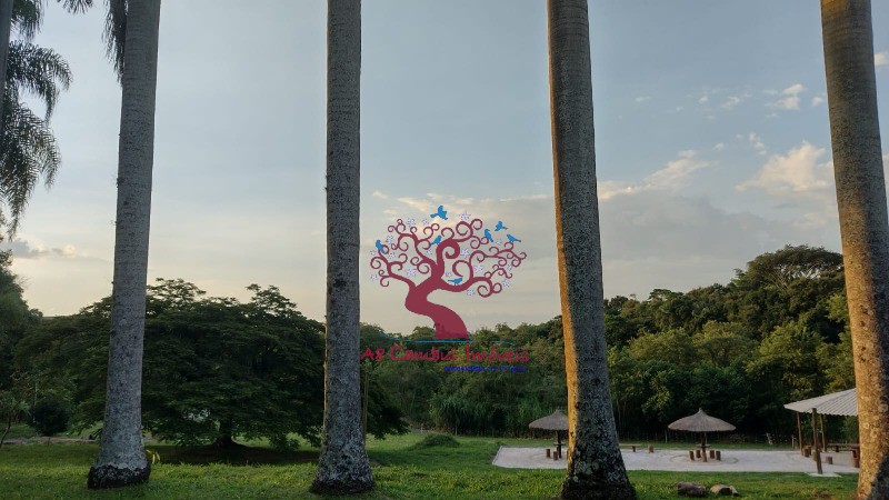 Fazenda-Sítio-Chácara, 2 hectares - Foto 23