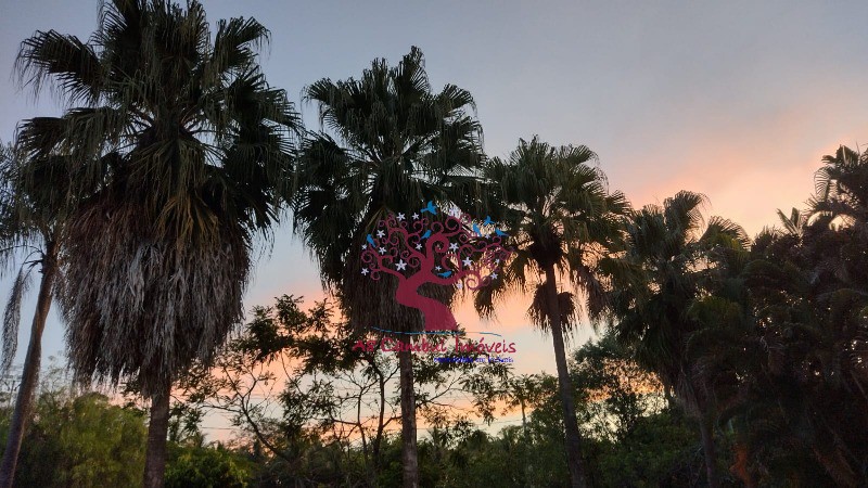 Fazenda-Sítio-Chácara, 2 hectares - Foto 18