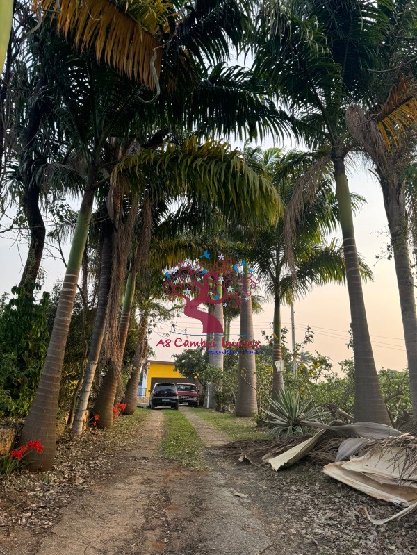 Chácara, 5 quartos, 800 m² - Foto 1