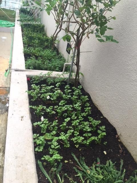 Apartamento, 3 quartos, 100 m² - Foto 31