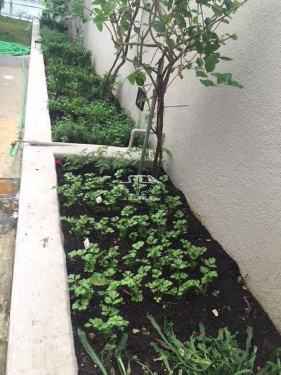 Apartamento, 3 quartos, 100 m² - Foto 44