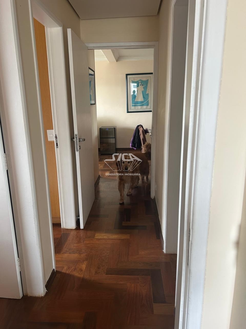 Apartamento, 3 quartos, 87 m² - Foto 16